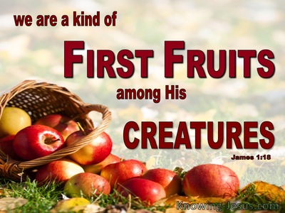 James 1:18 First Fruit Of God's Creation (red)